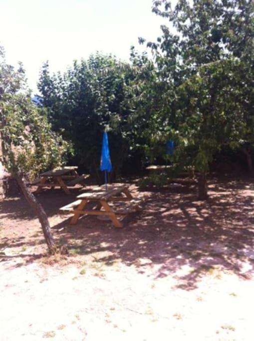 Appartement Dans Maison De Village بيانا المظهر الخارجي الصورة